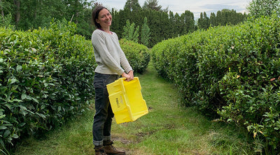 Kacie Merkel in a tea field smiling, holding a yellow basket.