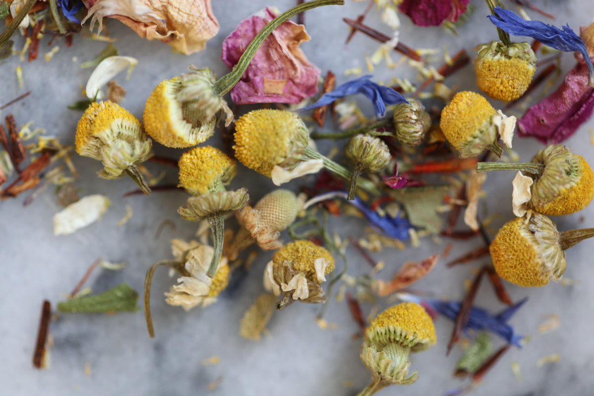 Up close view of Meadow herbal infusion to show chamomile buds, blue cyani, red hyssop and rooibos.