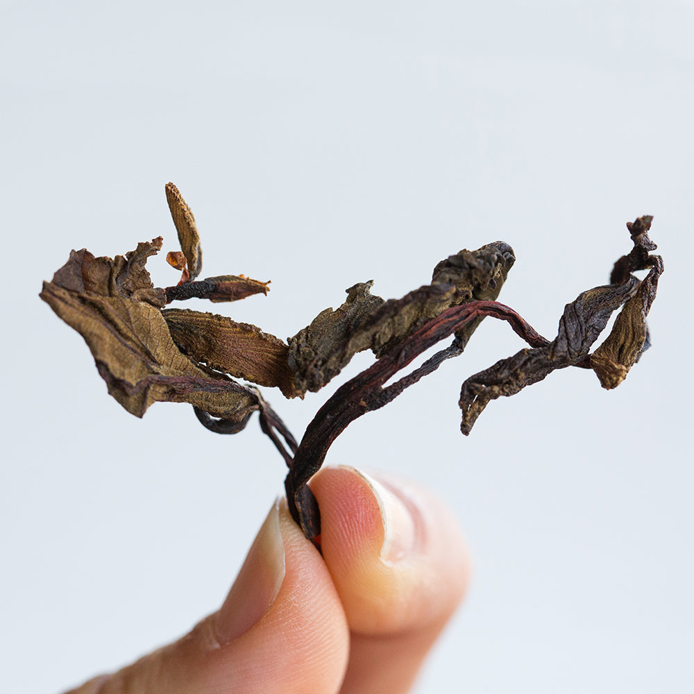 Northwest Alder Leaf Reserve