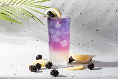 Glass of Blackberry Jasmine lemonade with blackberries and lemon slices surrounding the glass.