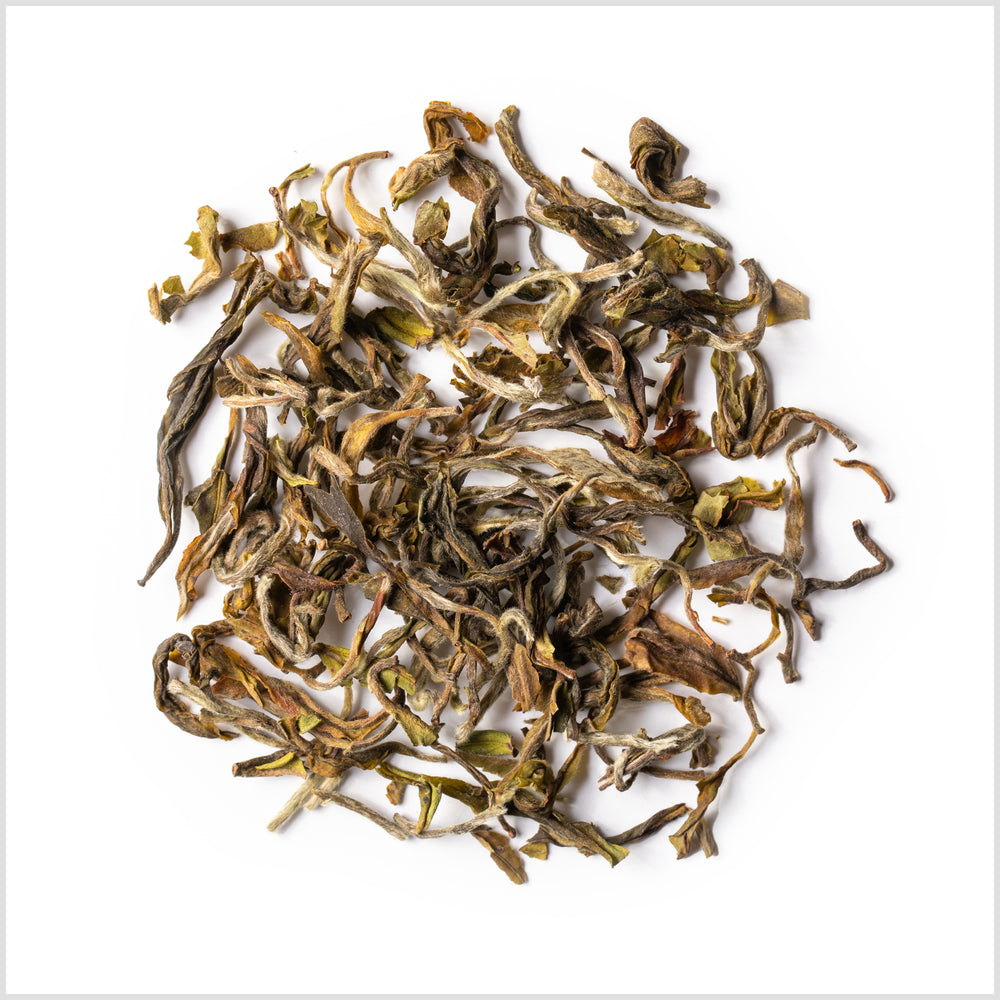 1st Flush Darjeeling