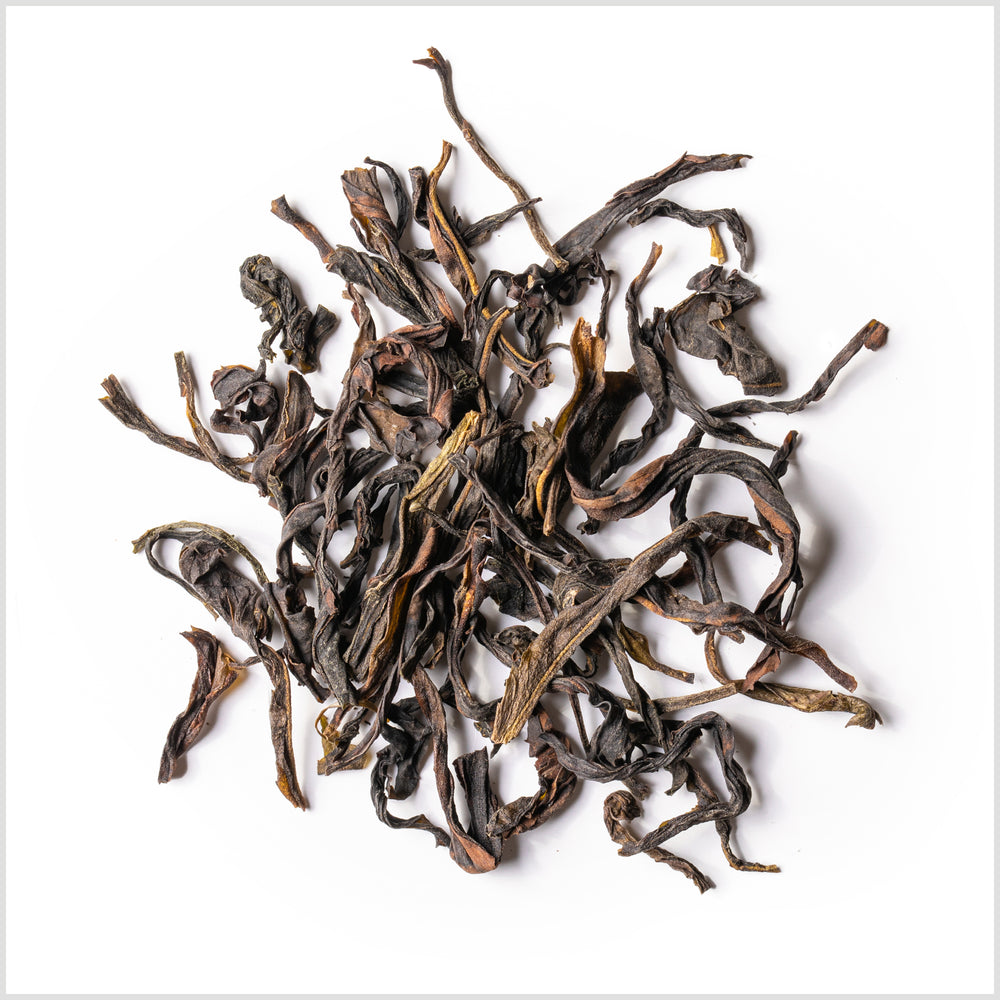 Phoenix Oolong