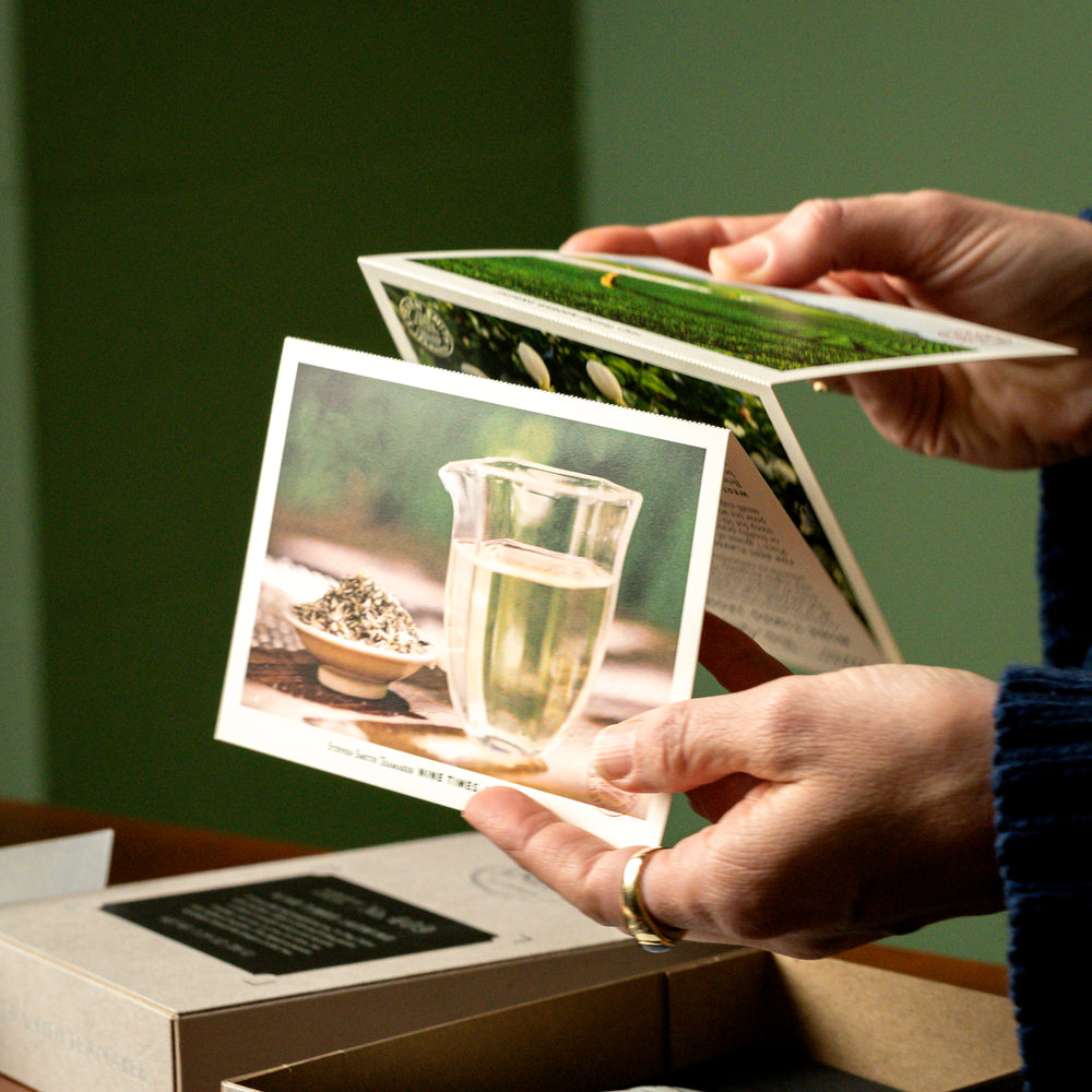 Two hands holding accordian style post cards.