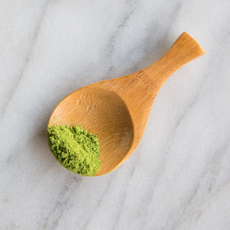 Matcha Spoon Smith Teamaker