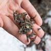 Meng Song Sheng (Raw) Pu-erh Cake